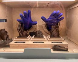 JRK Escape Cube R&auml;tsel mit Organen Mobiler Escape Room