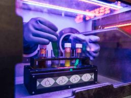 Mobile Escape Cube Infected Innen Detail